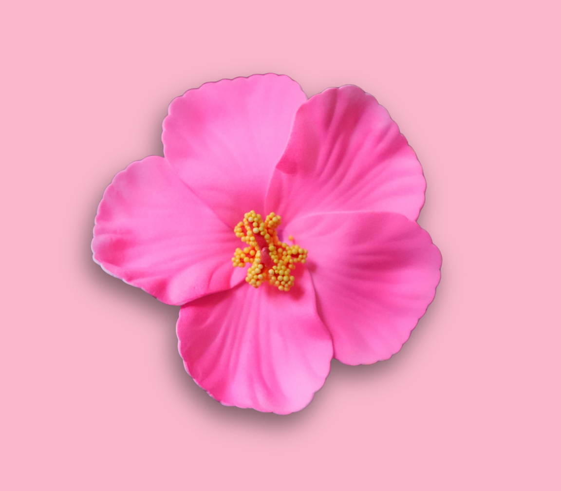 Amapola - Hair Clip