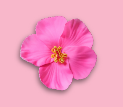 Amapola - Hair Clip