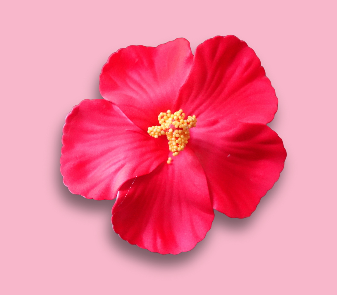 Amapola - Hair Clip