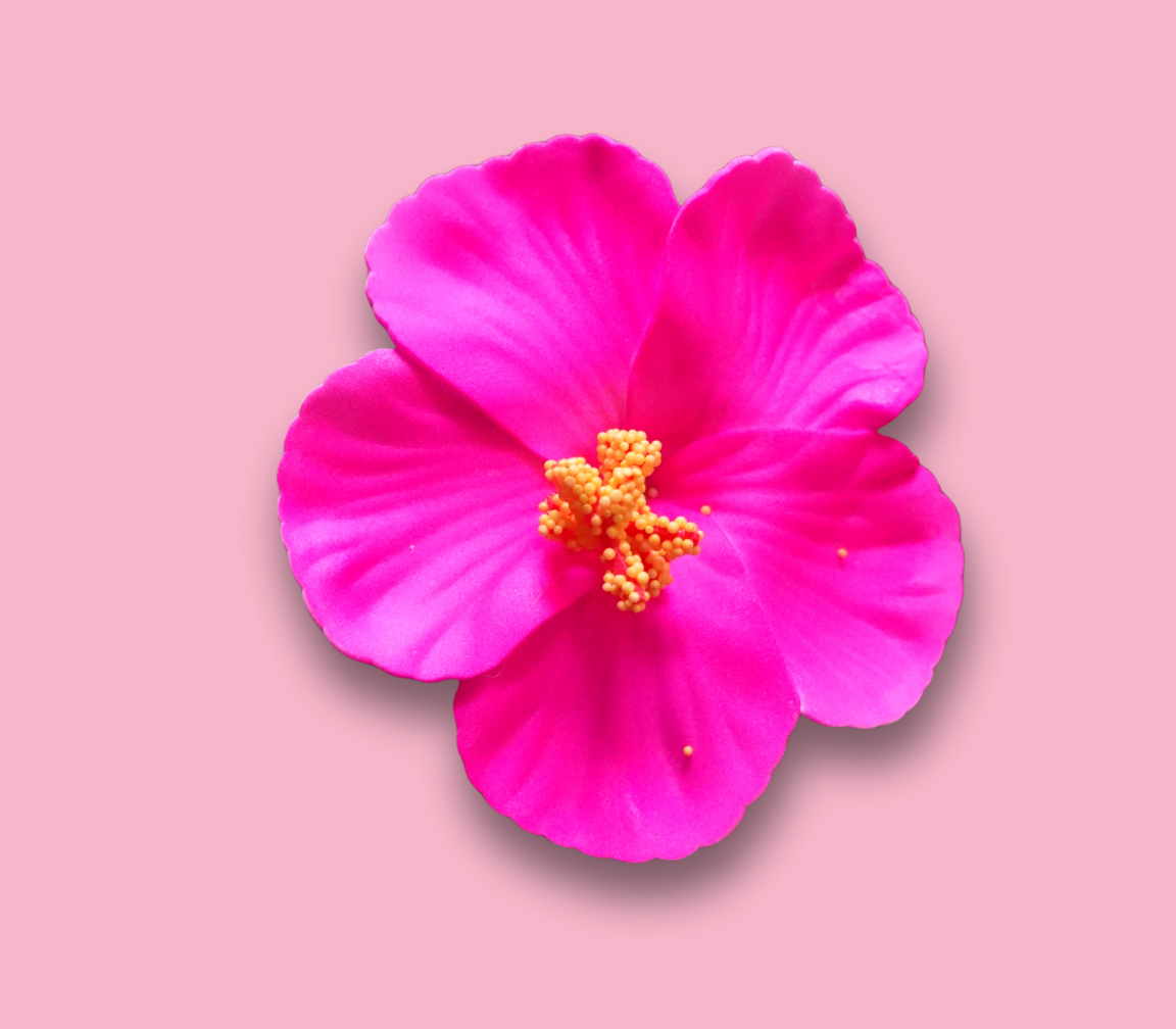 Amapola - Hair Clip