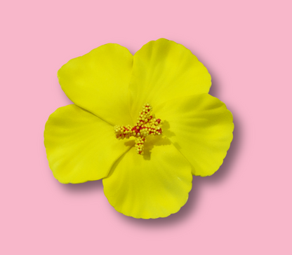 Amapola - Hair Clip